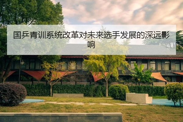国乒青训系统改革对未来选手发展的深远影响